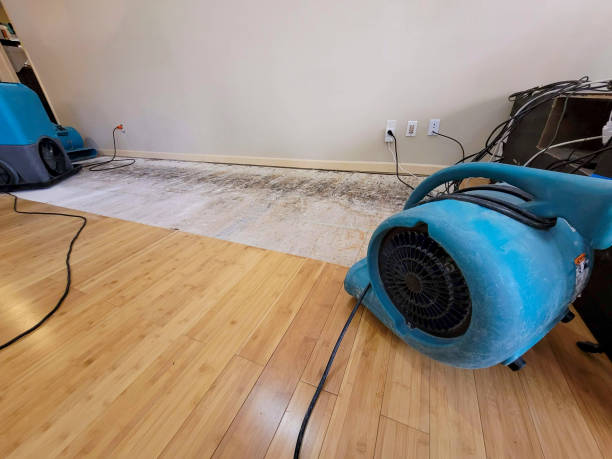 Professional Structural Drying technician working in Eyota, MN